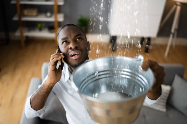 Best Mold removal after water damage  in Los Gatos, CA