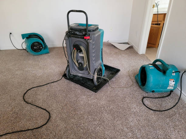 Best 24-hour water damage restoration  in Los Gatos, CA