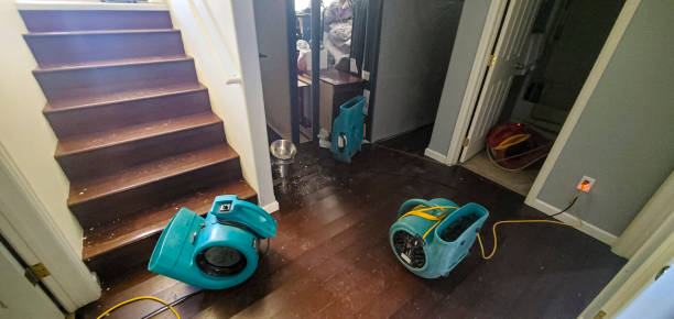 Best Water damage contractors near me  in Los Gatos, CA