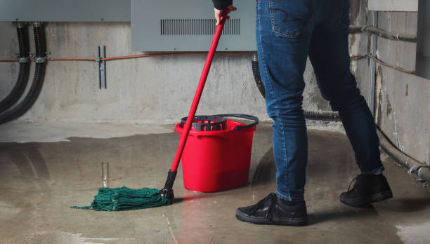 Best Fire Damage Restoration  in Los Gatos, CA