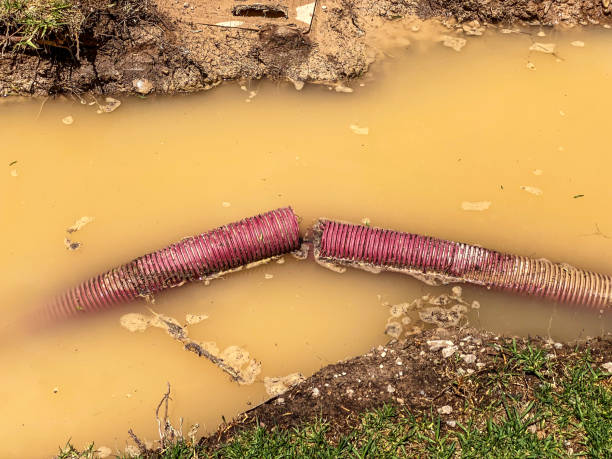 Best Carpet water damage restoration  in Los Gatos, CA